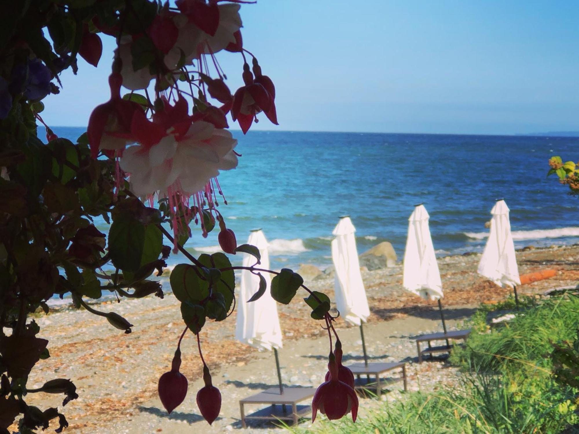 Qualicum Breeze Beach Resort Bowser Экстерьер фото